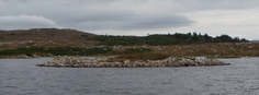 Lough Bola Carna Crannog